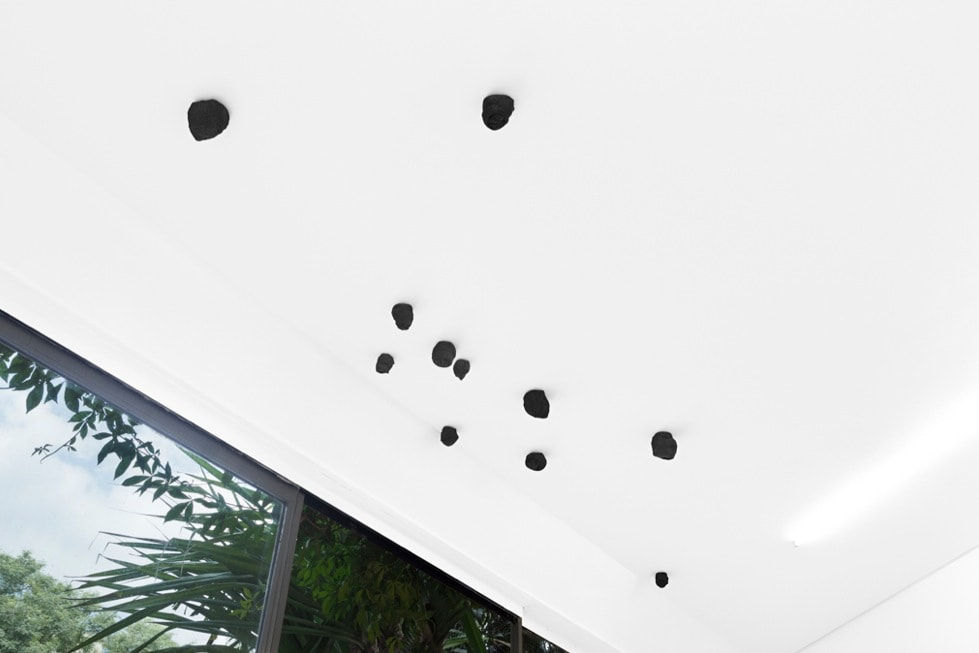 Adriano Amaral, Sem título, 2015