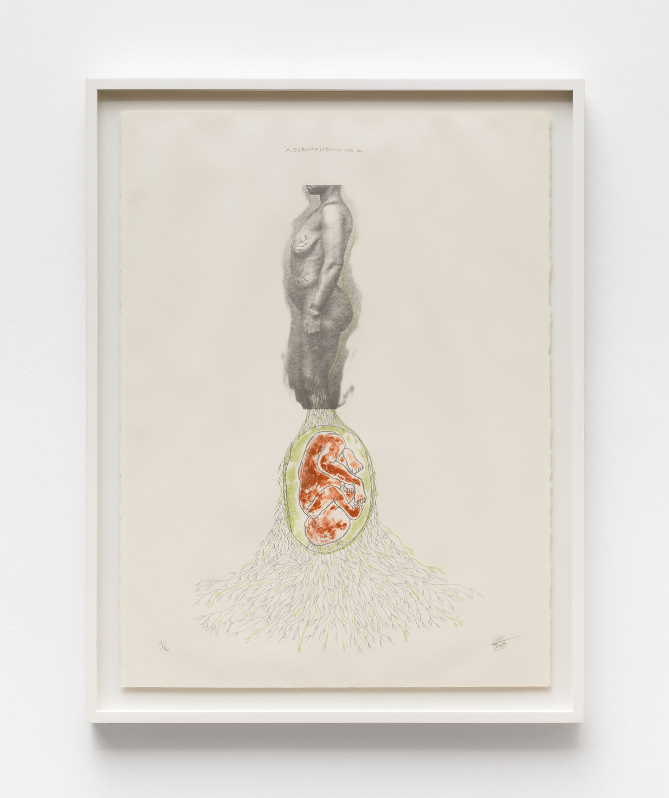 Rosana Paulino, ASSENTAMENTO N. 2, 2013 - 2014