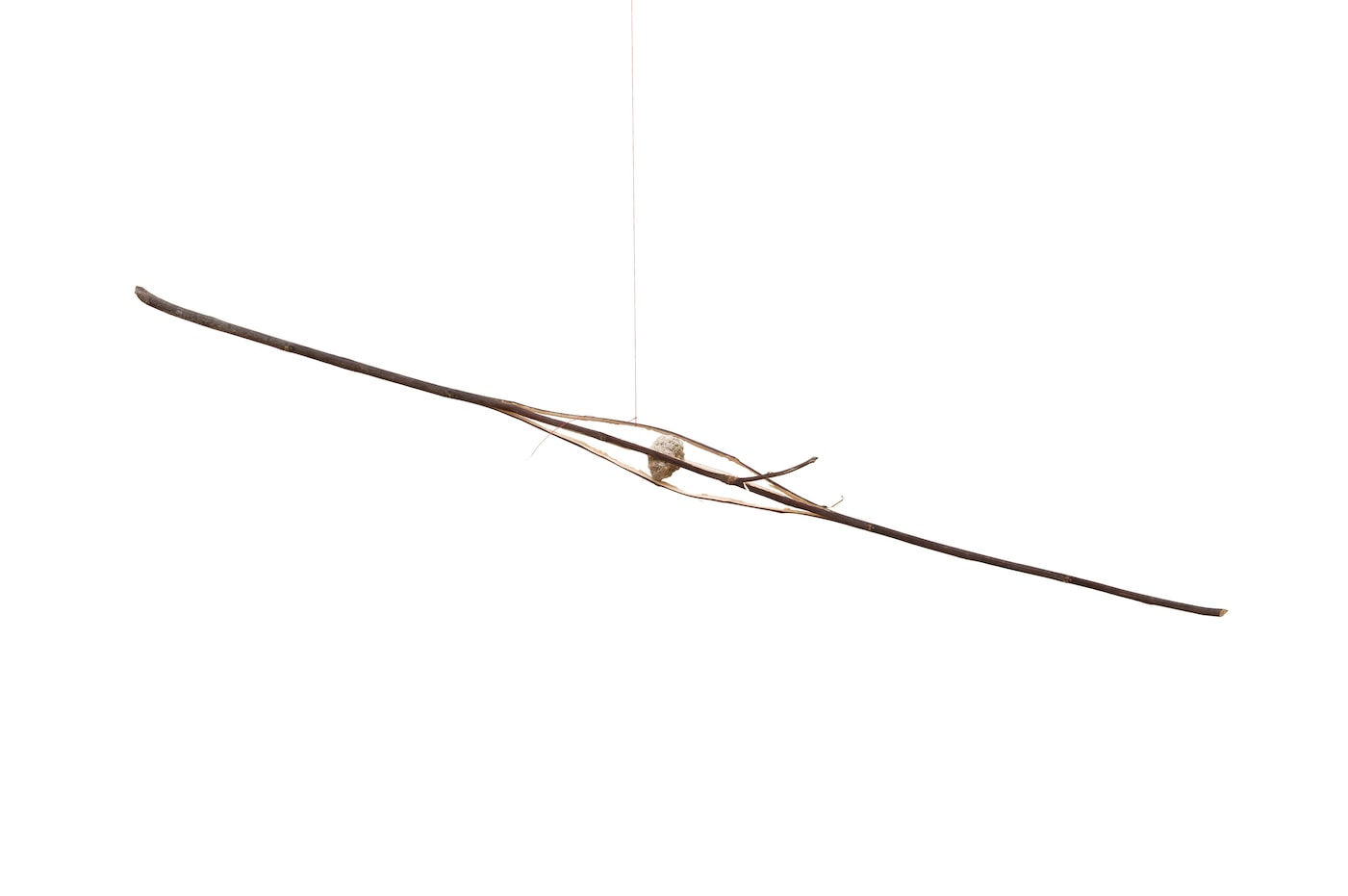 Daniel Steegmann Mangrané, Ubá, 2016