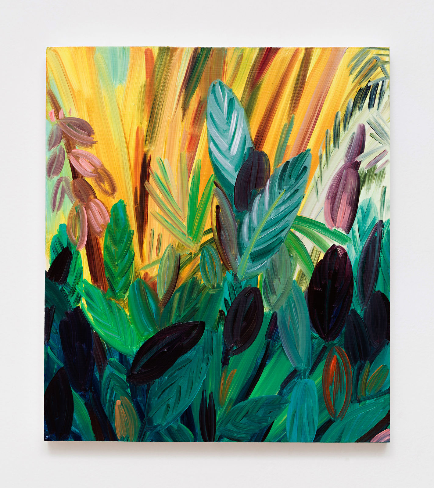 Celia Hempton, Jaraguá, 2015