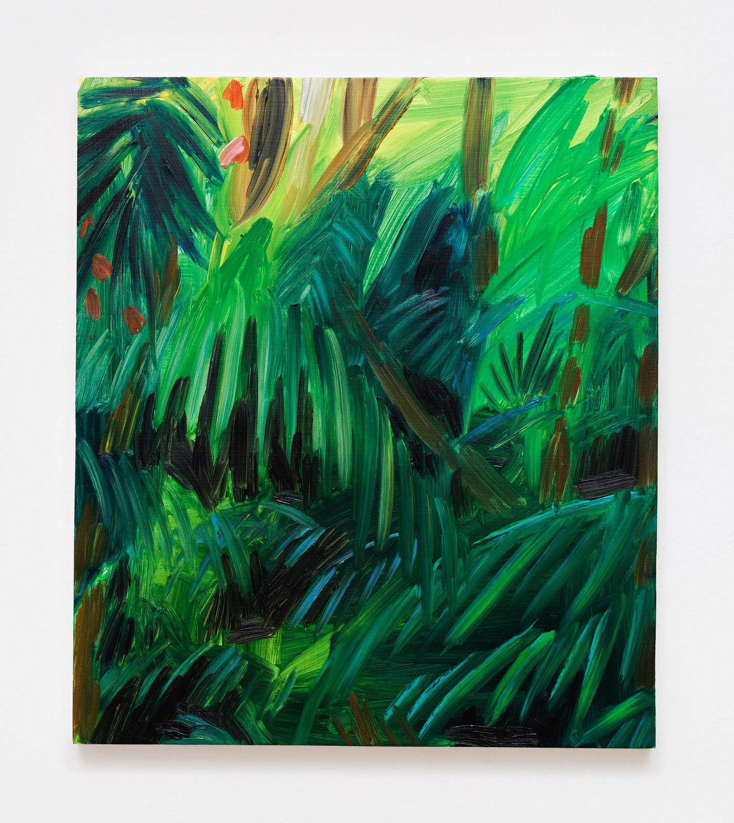 Celia Hempton, Jaraguá 2, 2015