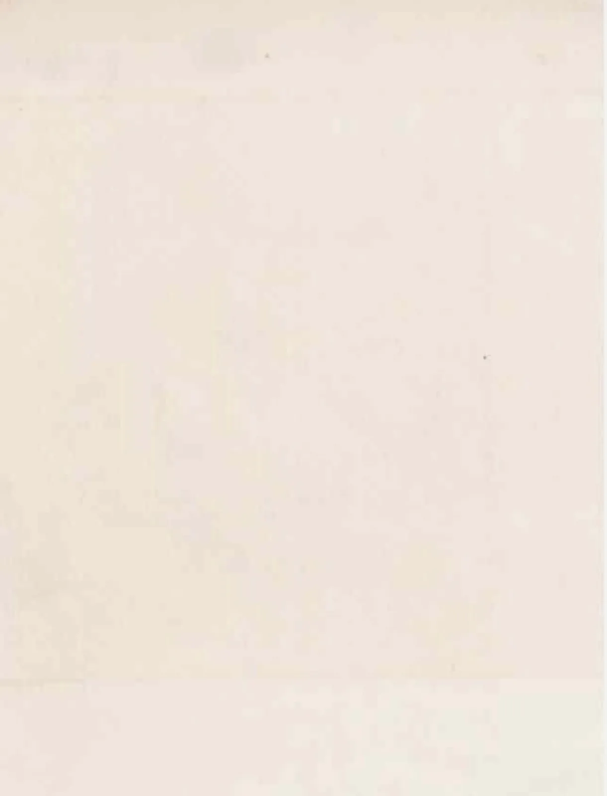 FRANCIS PICABIA, Tête de femme, ca. 1947