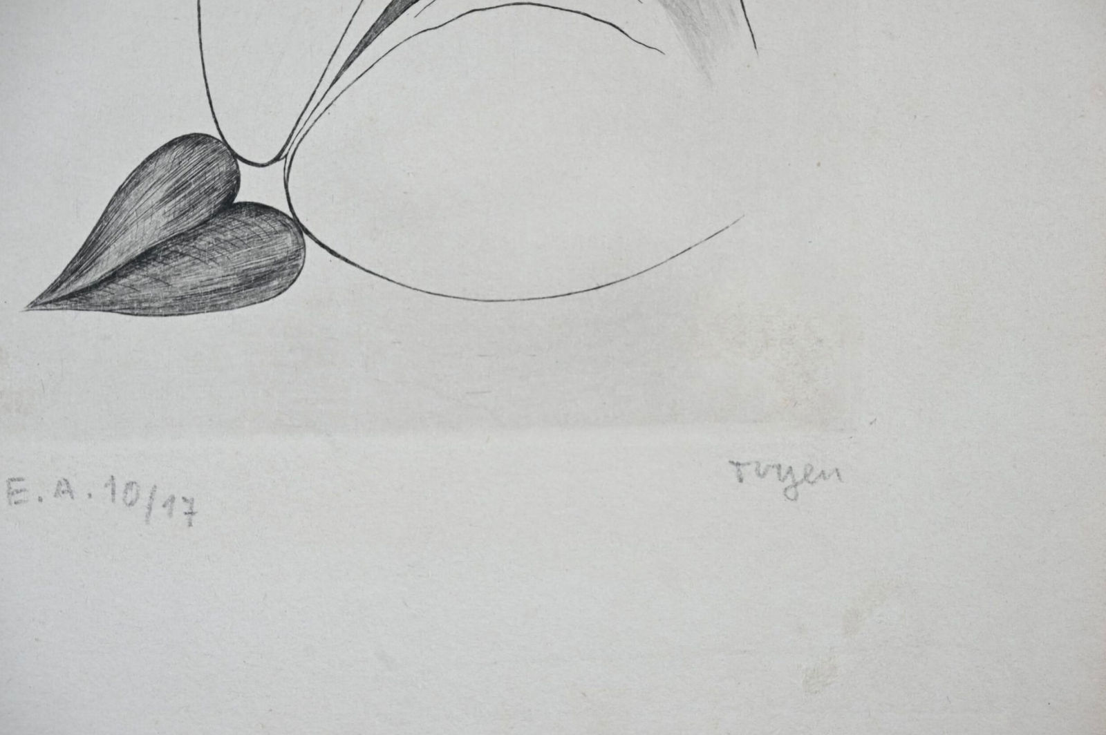 Toyen, Débris de rêves & Le Puits dans la tour, 1967