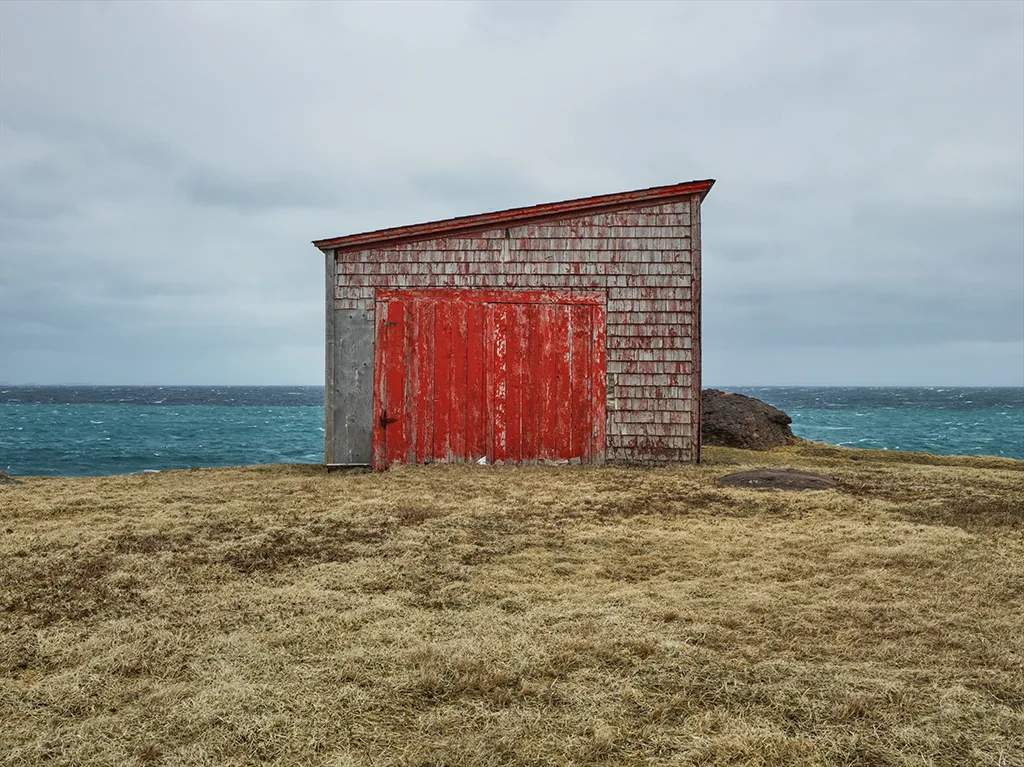 Ned Pratt, Spruce Shakes, 2019