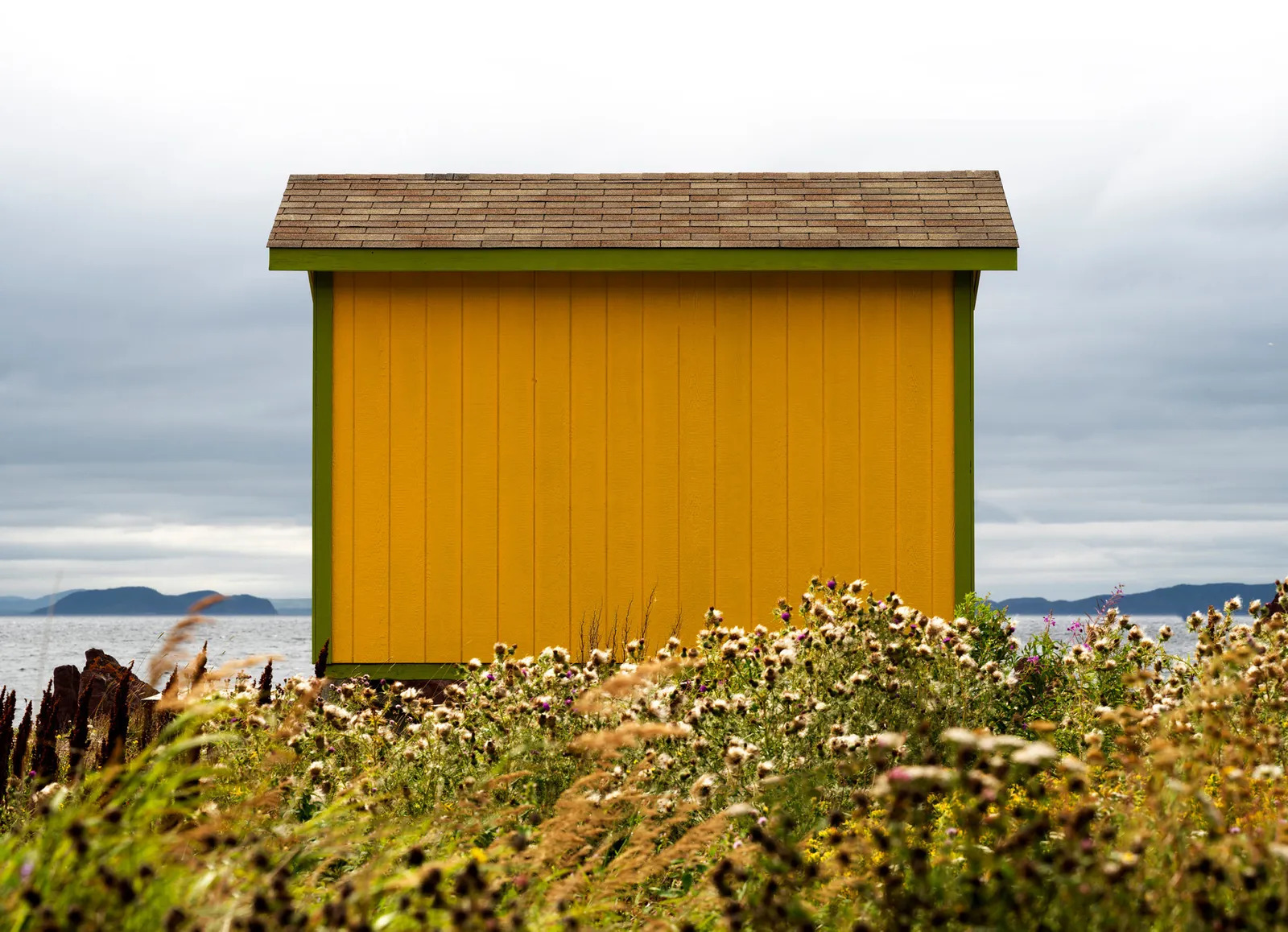 Ned Pratt, Yellow Room at Red Cove, 2023