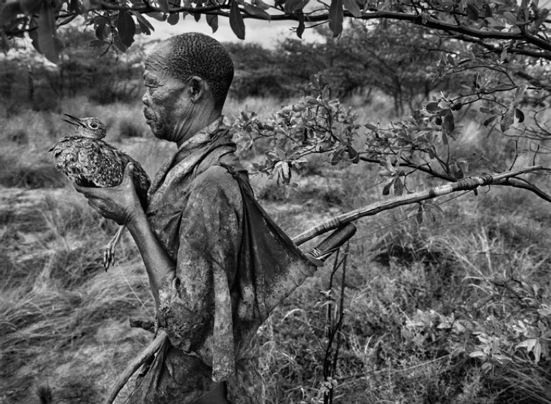 Sebastião Salgado, A hunter holding a korhaan bird, Bushmen, Botswana, 2008