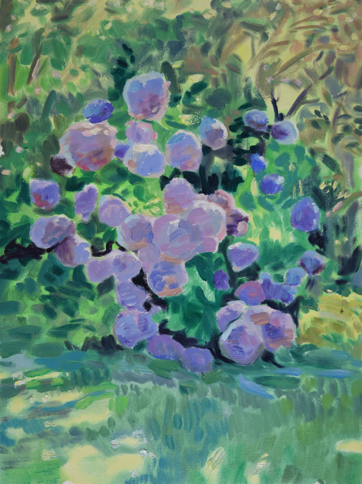 Ben Reeves, Hydrangea, 2023