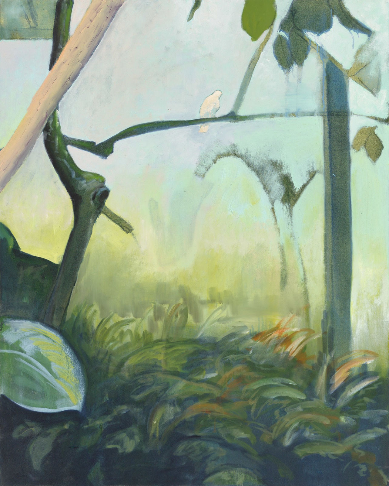 Emmanuel Osahor, White Cockatoo, 2024