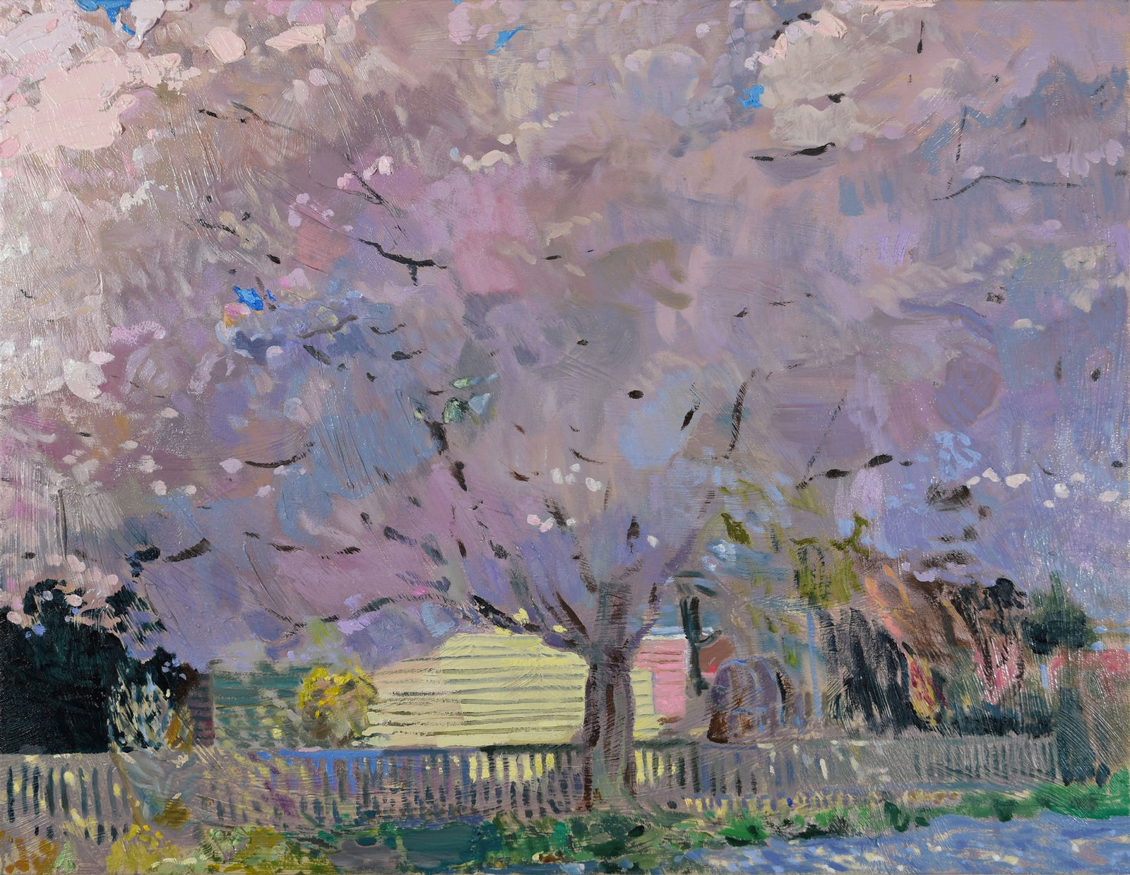 Tree on the Corner, 2025