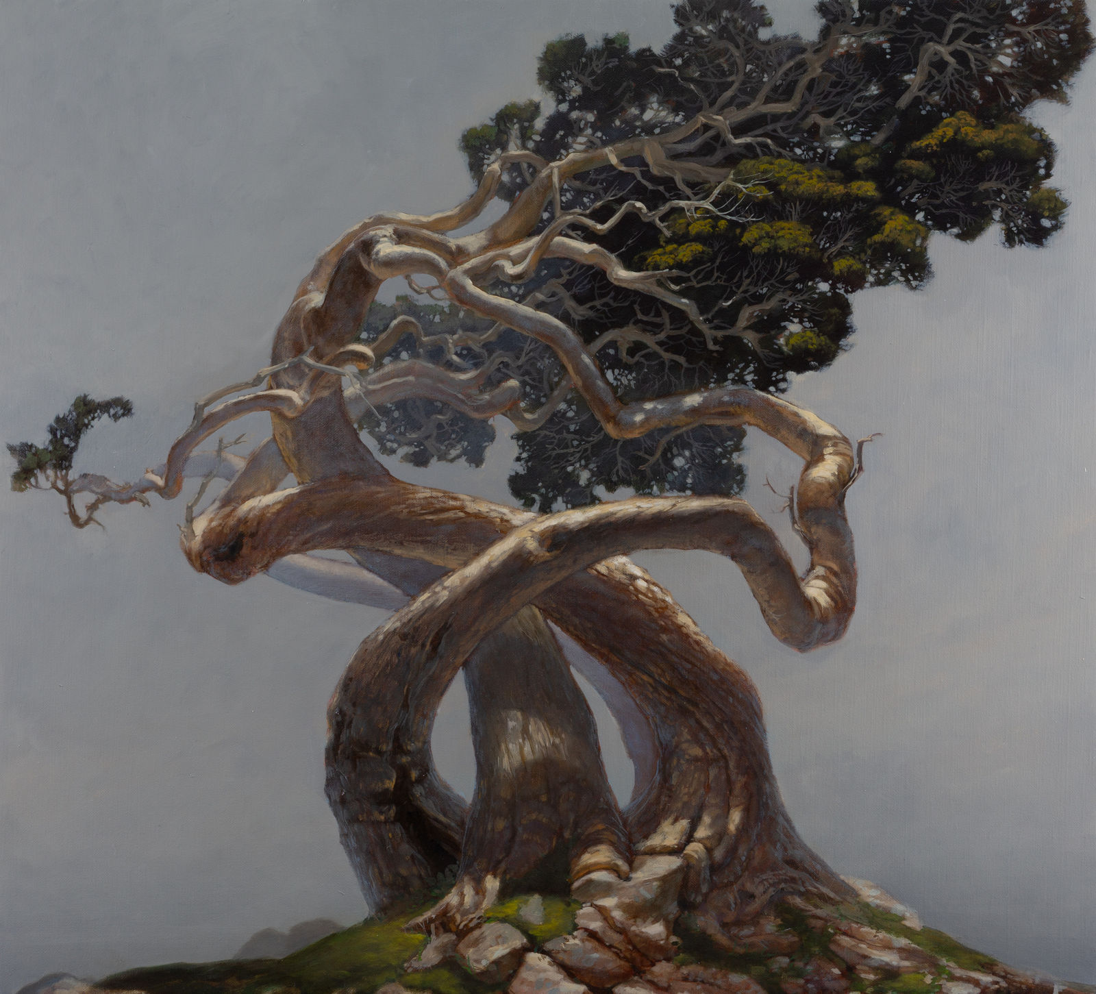 Jason Cordero, The Congress, 2025