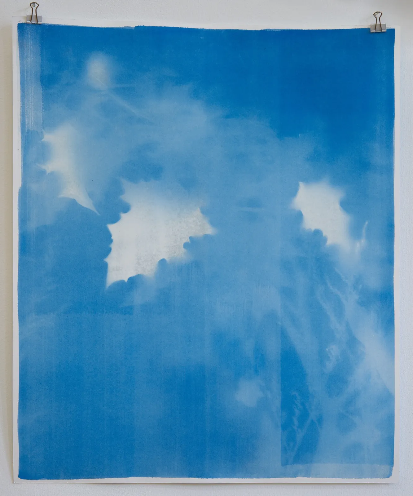 Silke Schatz, Datura V, 2022