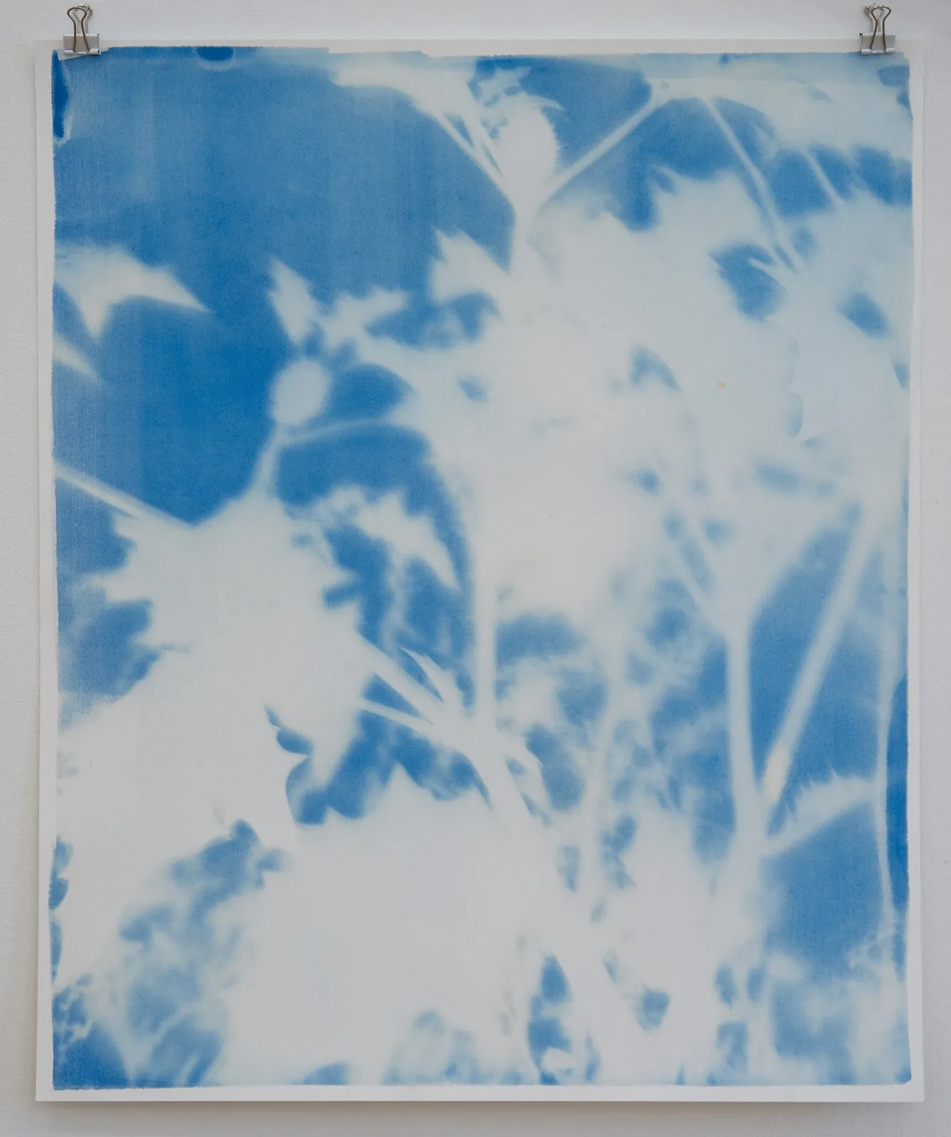 Silke Schatz, Datura III, 2022