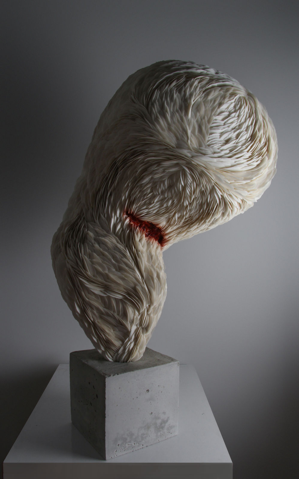 The Gribs, Wound, 2023