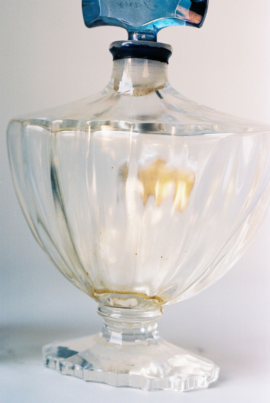 Ishiuchi Miyako, Frida #55, 2012-2015