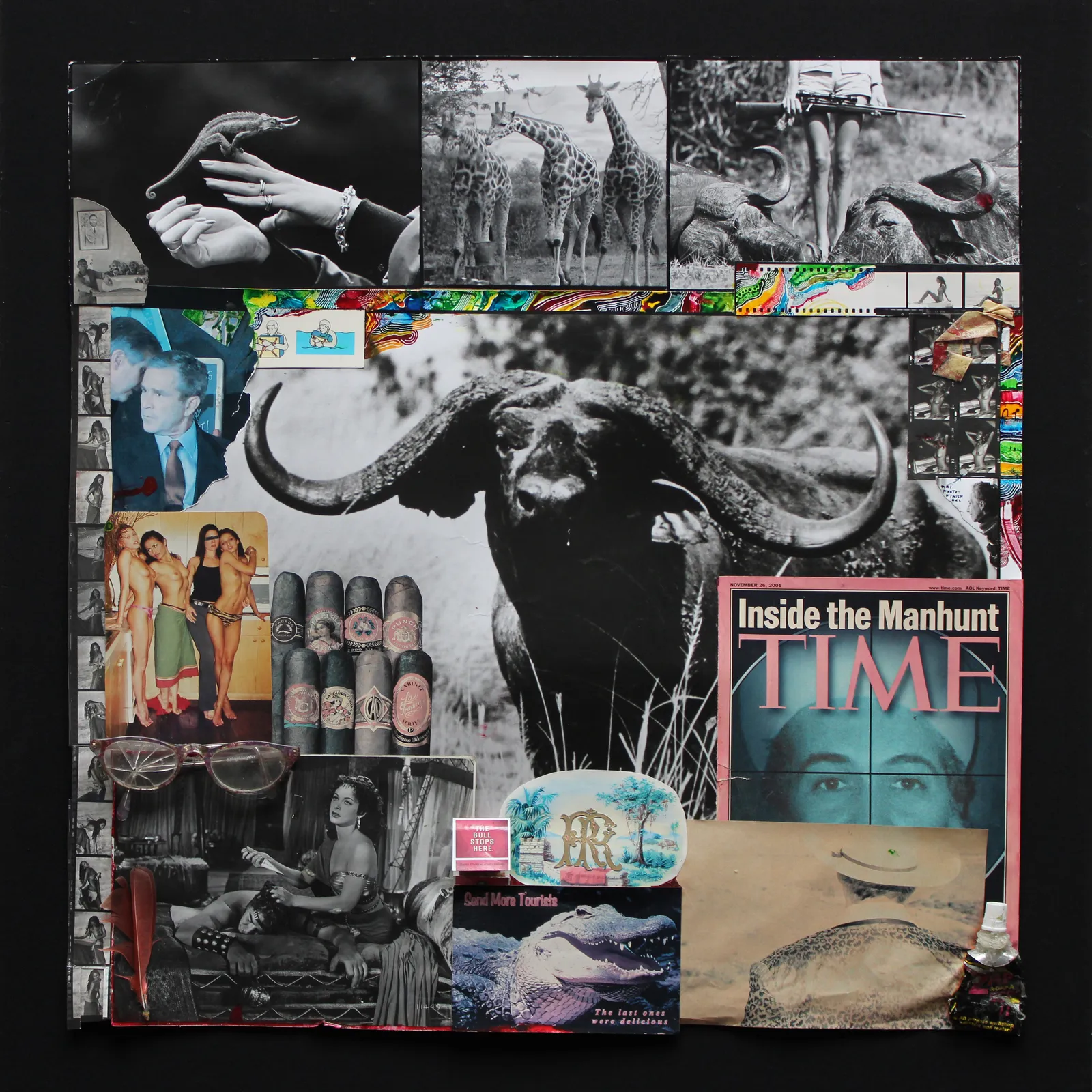 Peter Beard, Cape Buffalo Collage, 2002