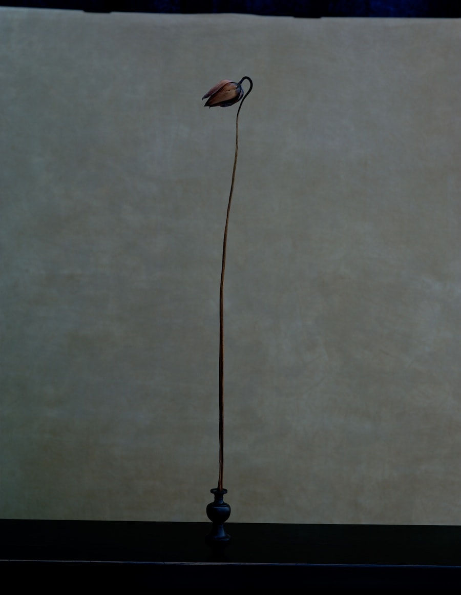 Yoshihiko Ueda, Shizumaru 3