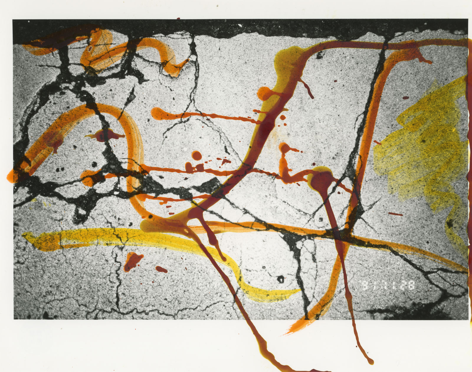 Masahisa Fukase, HIBI 55, 1991