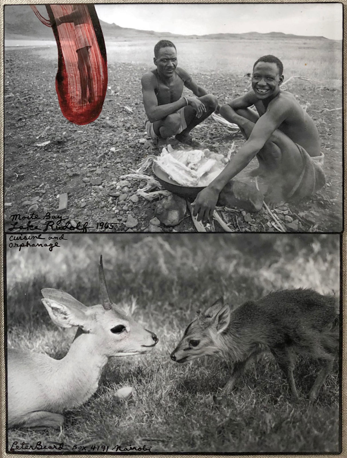 Peter Beard, Lake Rudolf diptych, 1965