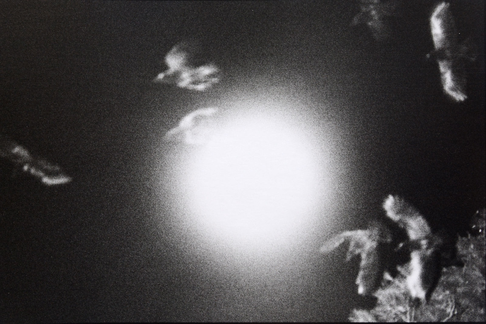 Masahisa Fukase, Untitled, from Solitude of Ravens, 1975-1985