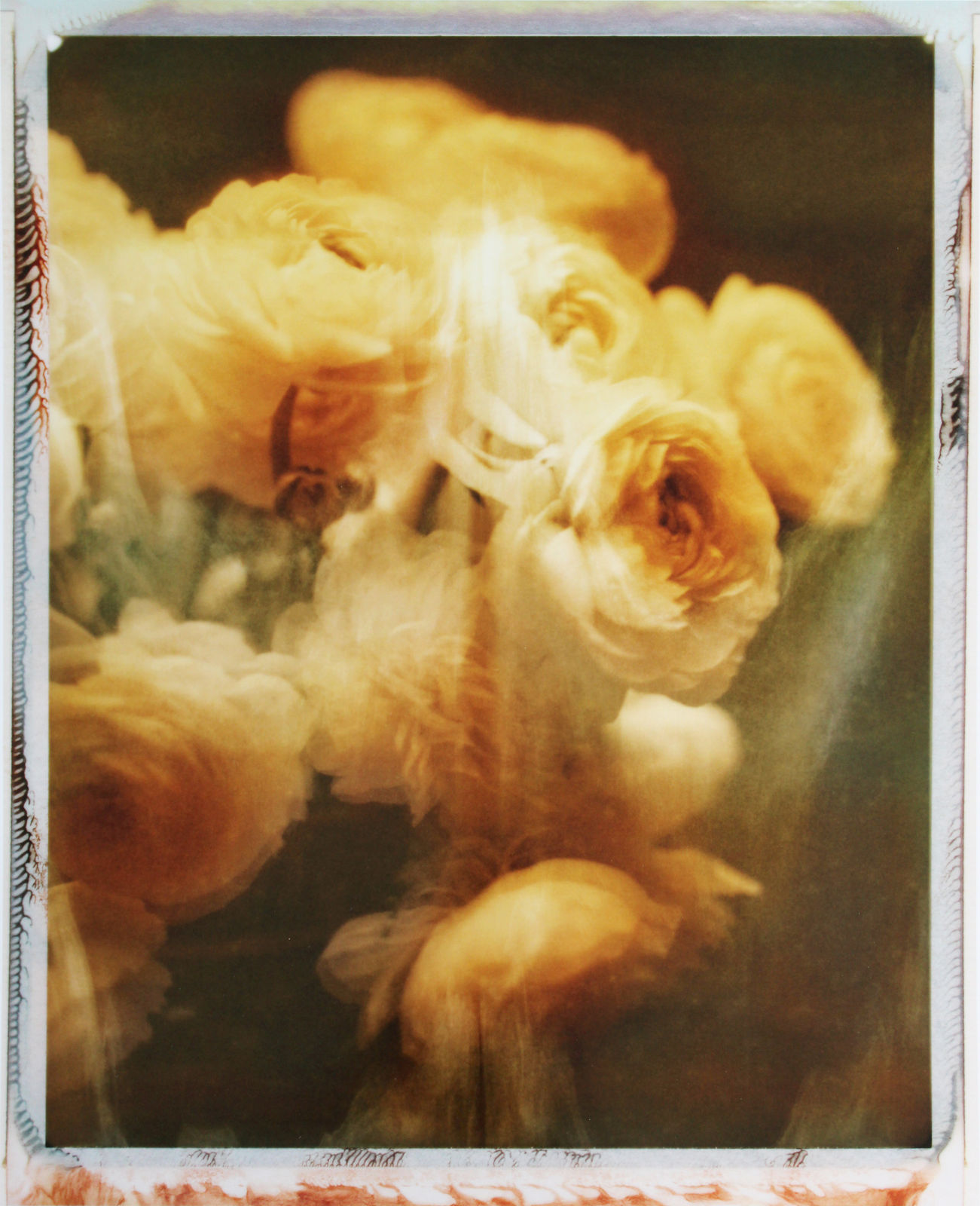 Nikolai von Bismarck, Album Rosas, 2023