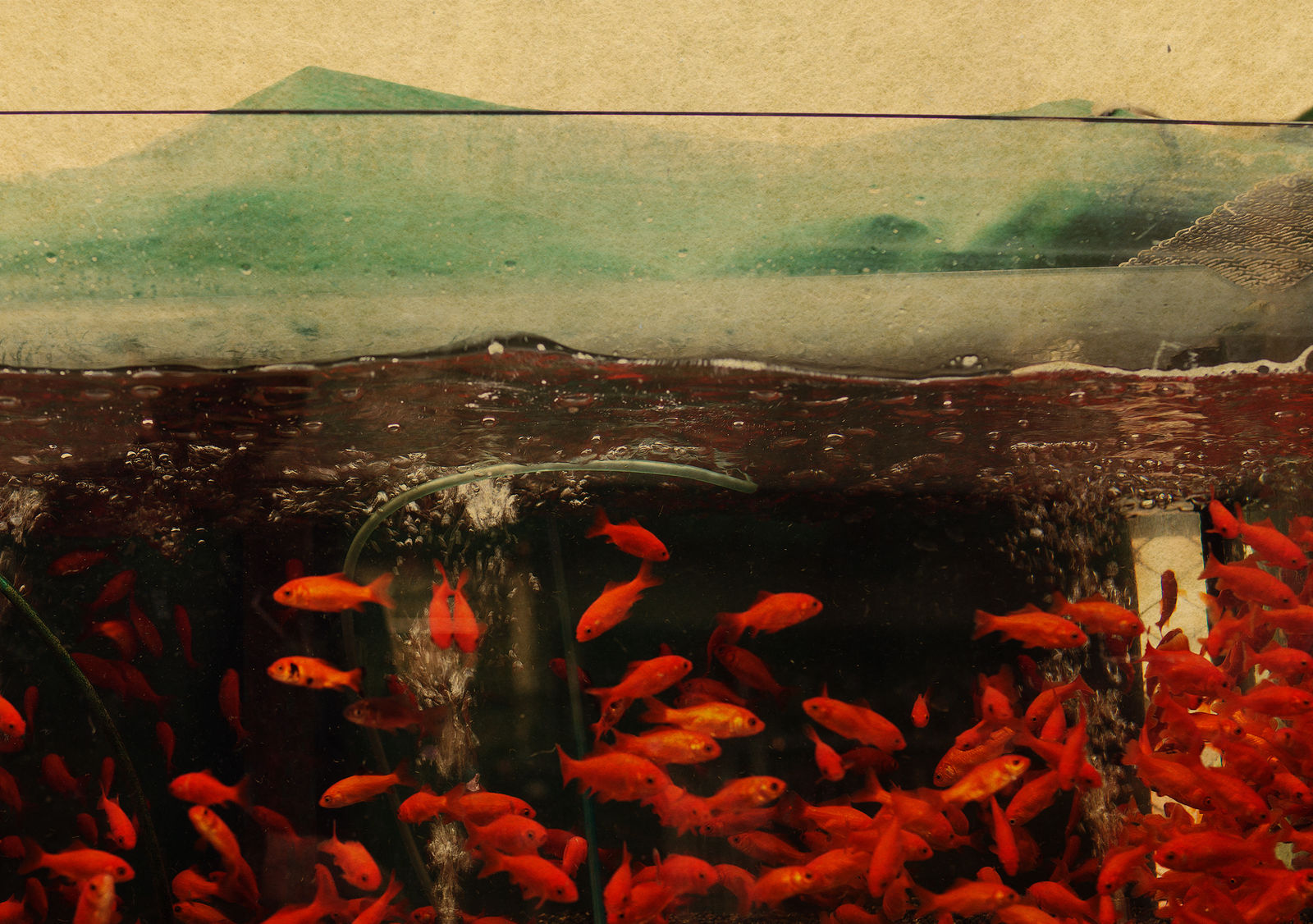 Albarrán Cabrera, The Mouth of Krishna, #124, 2013