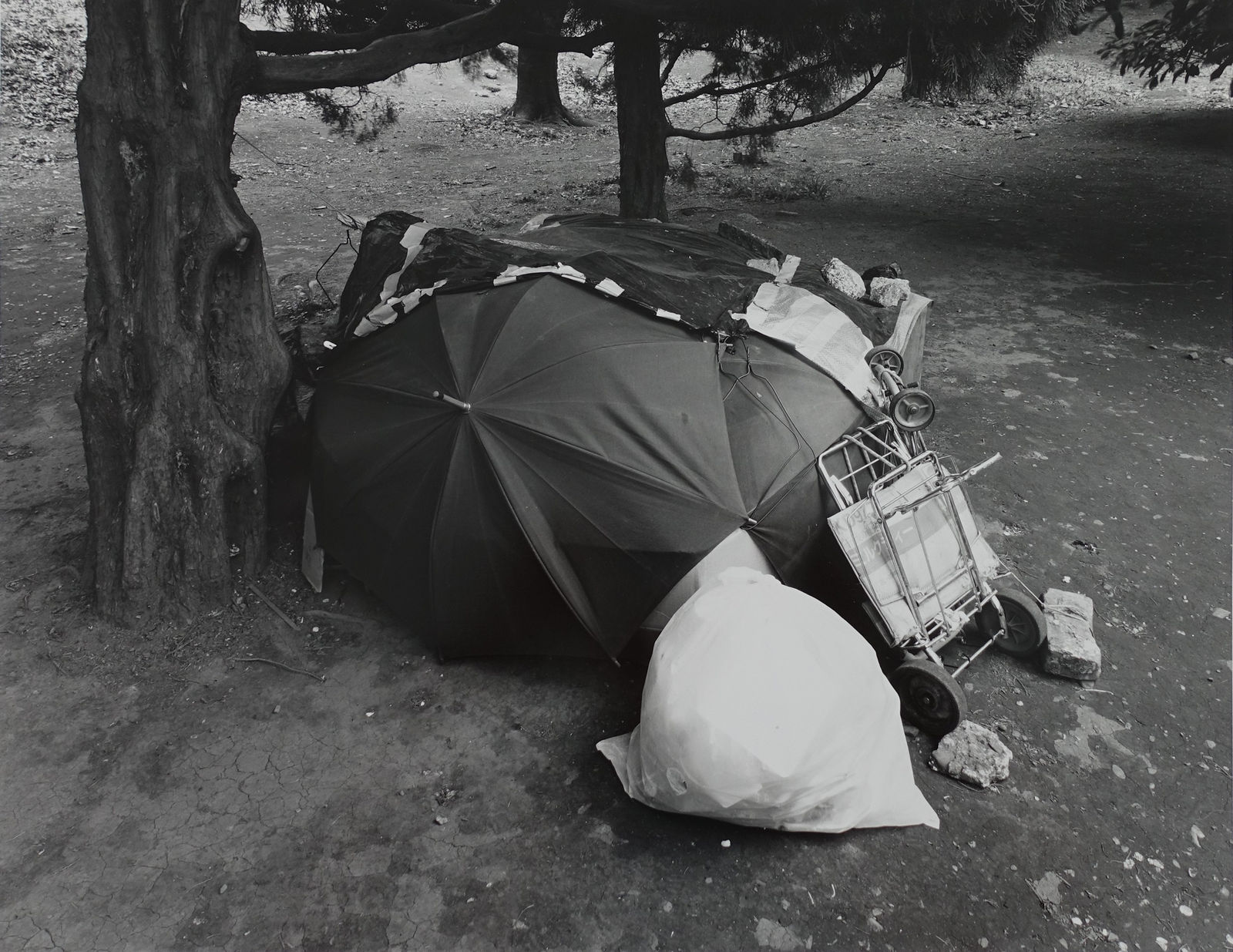 Ryuji Miyamoto, Cardboard Houses, Tokyo, 18h April 1994