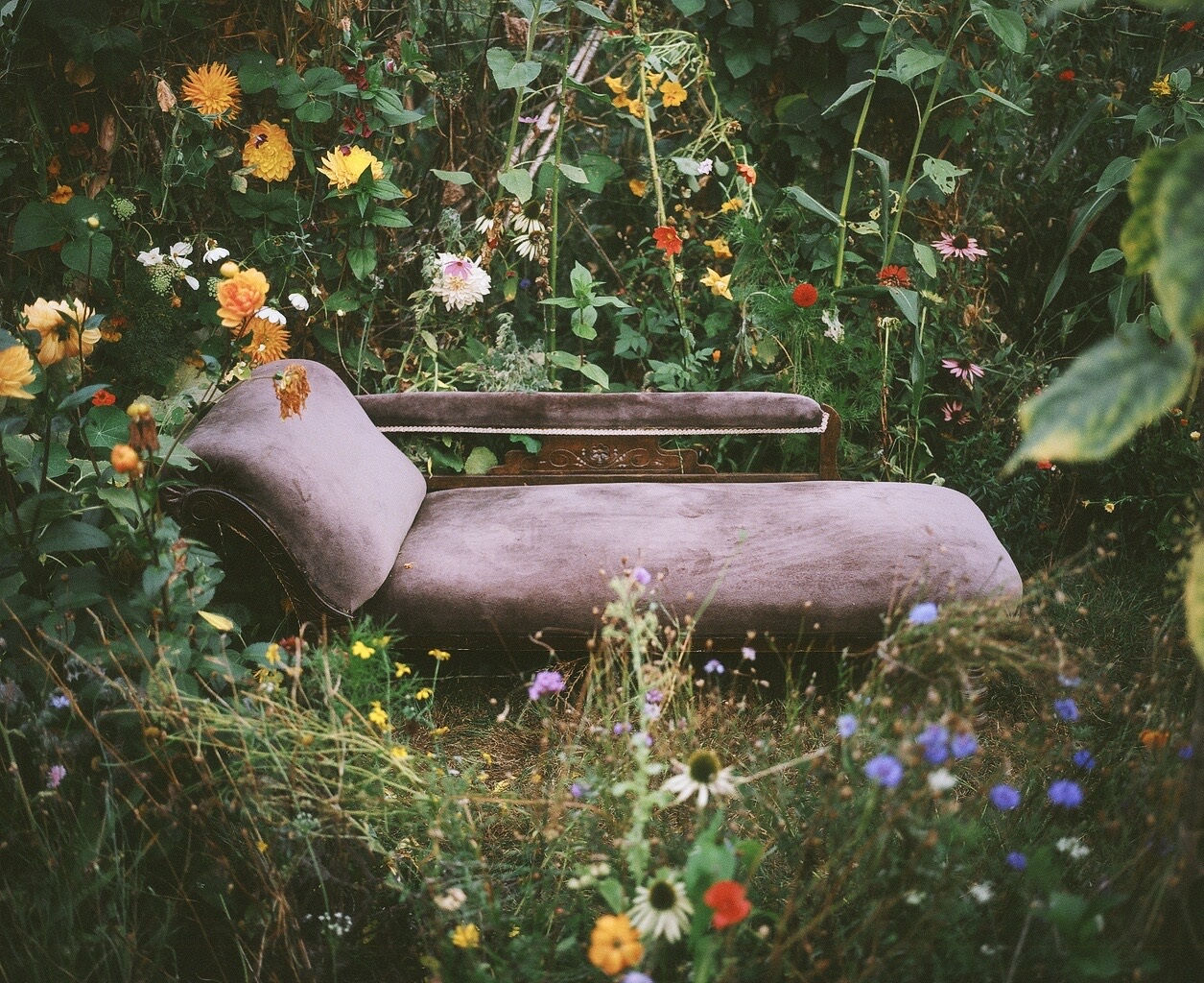 Siân Davey, The Garden XXI, 2023