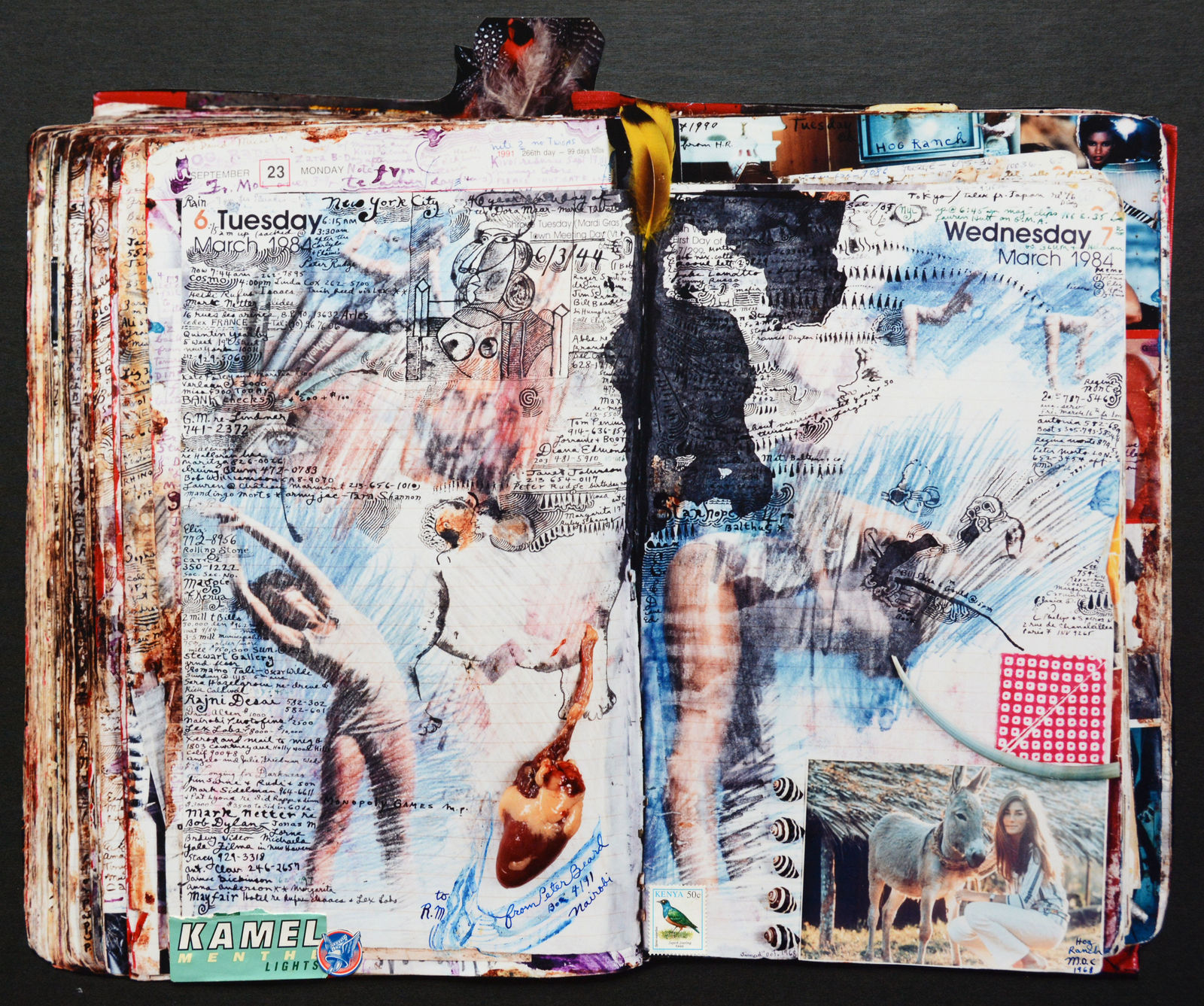 Peter Beard, Diary Page