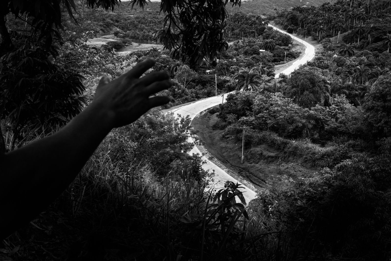 Richard Sharum, The Road Out of Providencia, 2019