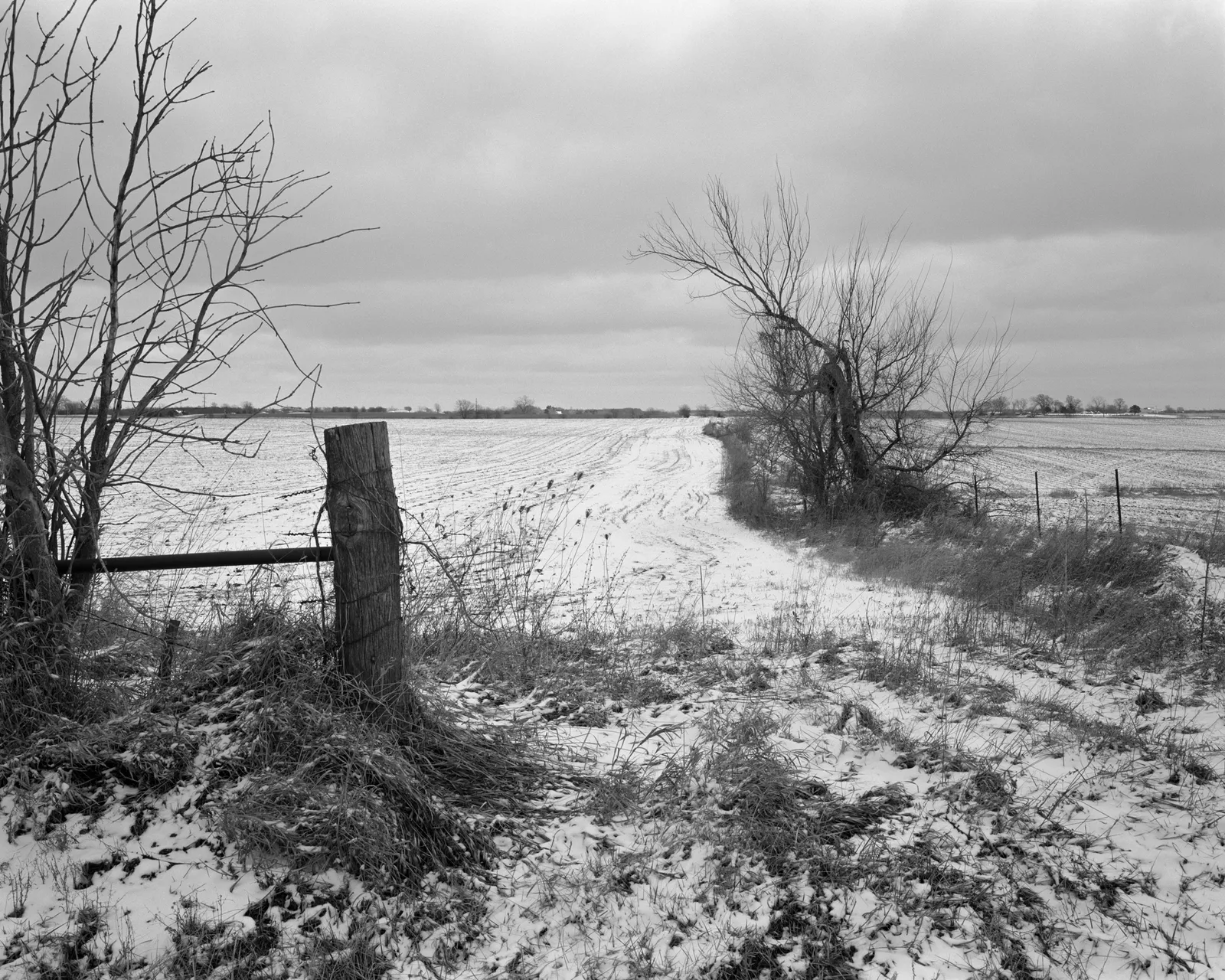 Henry O. Head, Winter Field, from the series Twelves Acres, 2024