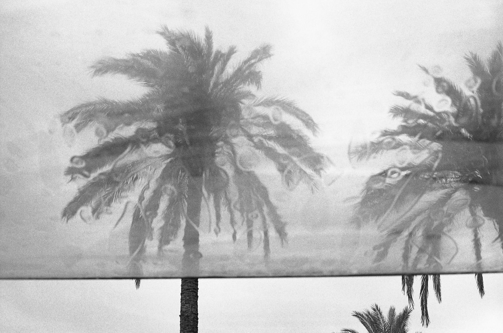 Luigi Vegini, Genova, 2021