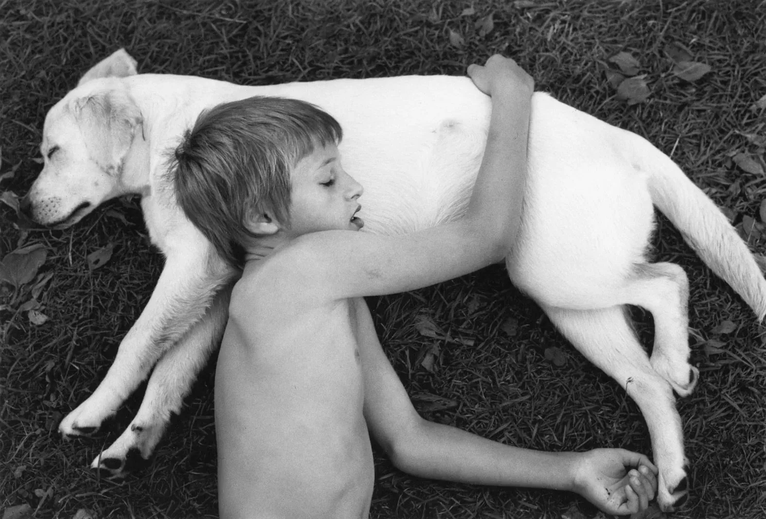 Pentti Sammallahti, Pyhäjärvi, Finland (Sleeping Boy & Dog), 2000