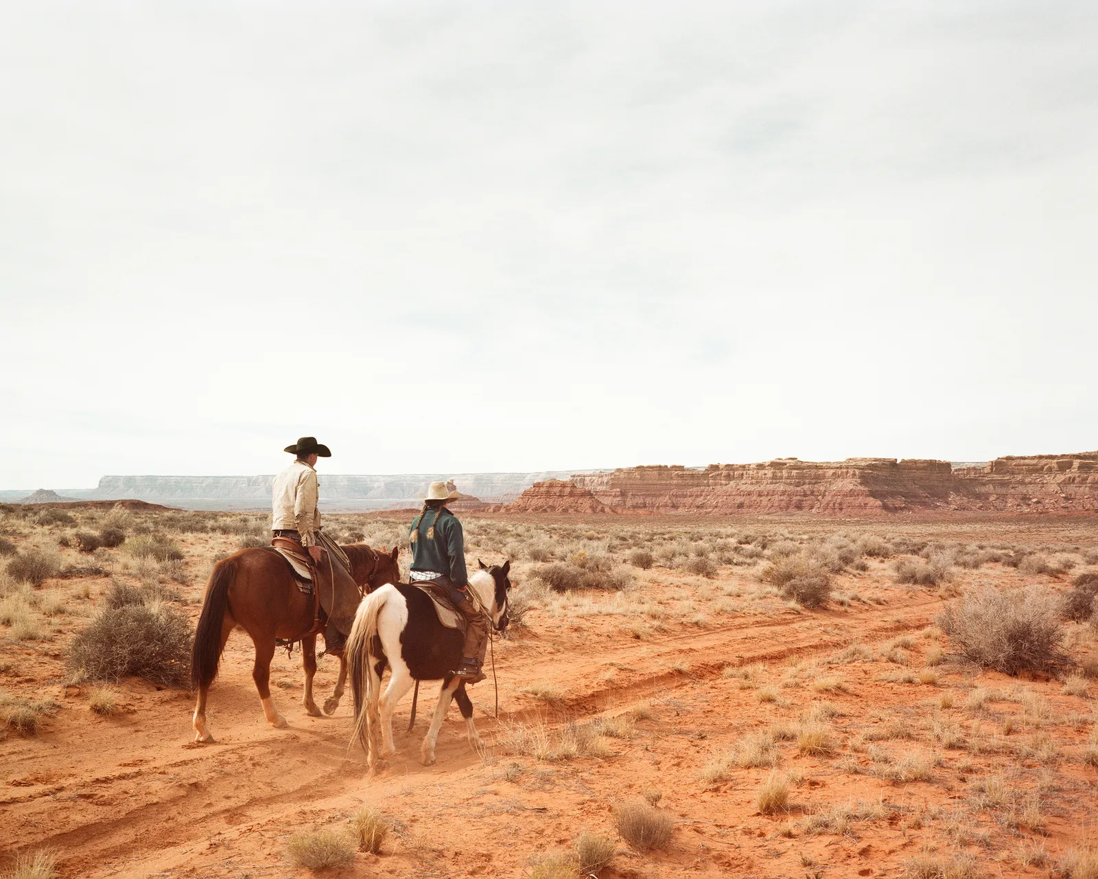 Jane Hilton, Bluff Plains, Valley of the Gods, 2015