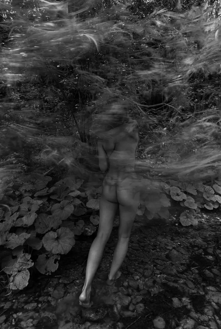 Viki Kollerová, Where the Rivers Part, 2023