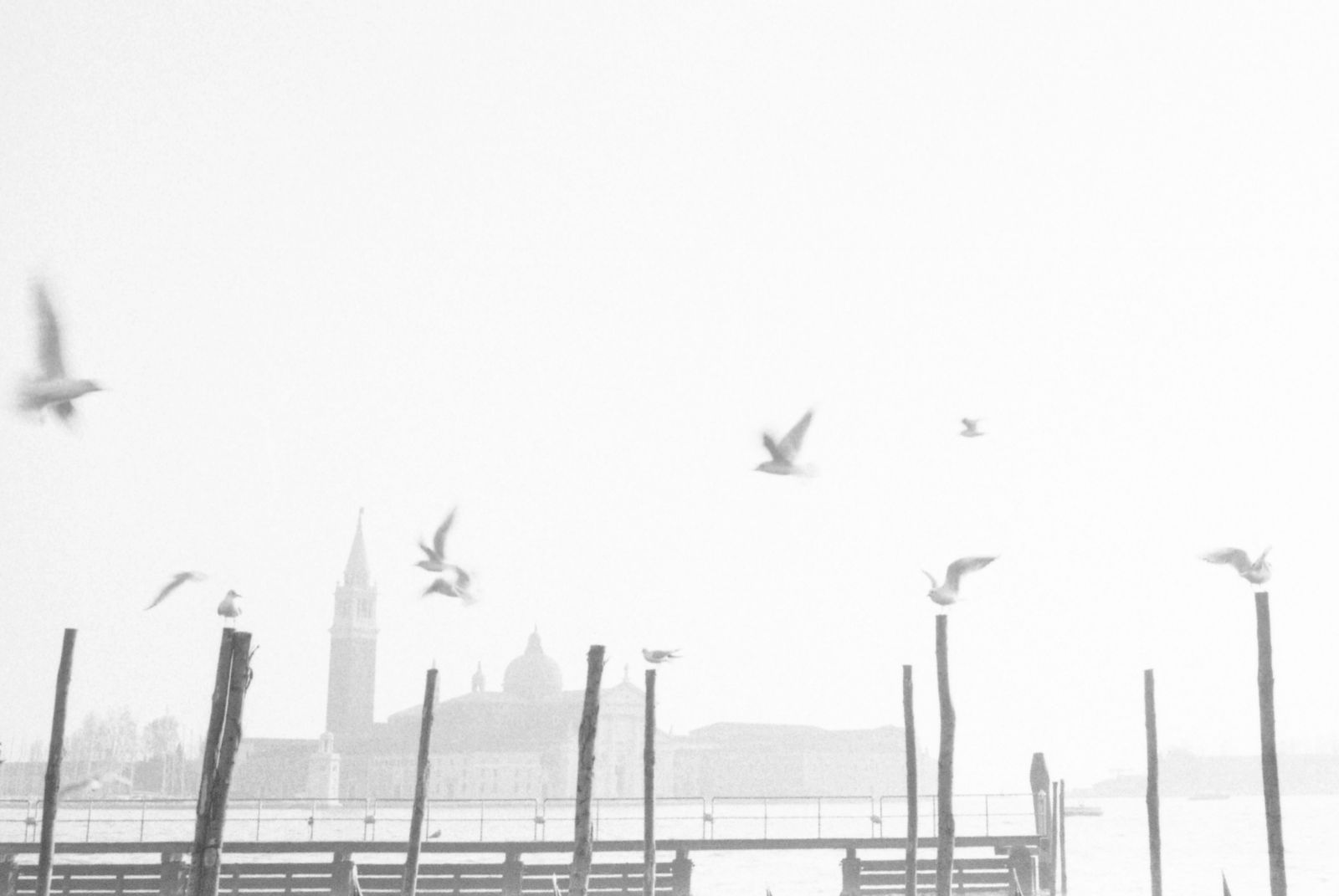 Luigi Vegini, Venezia, Italy, 2008