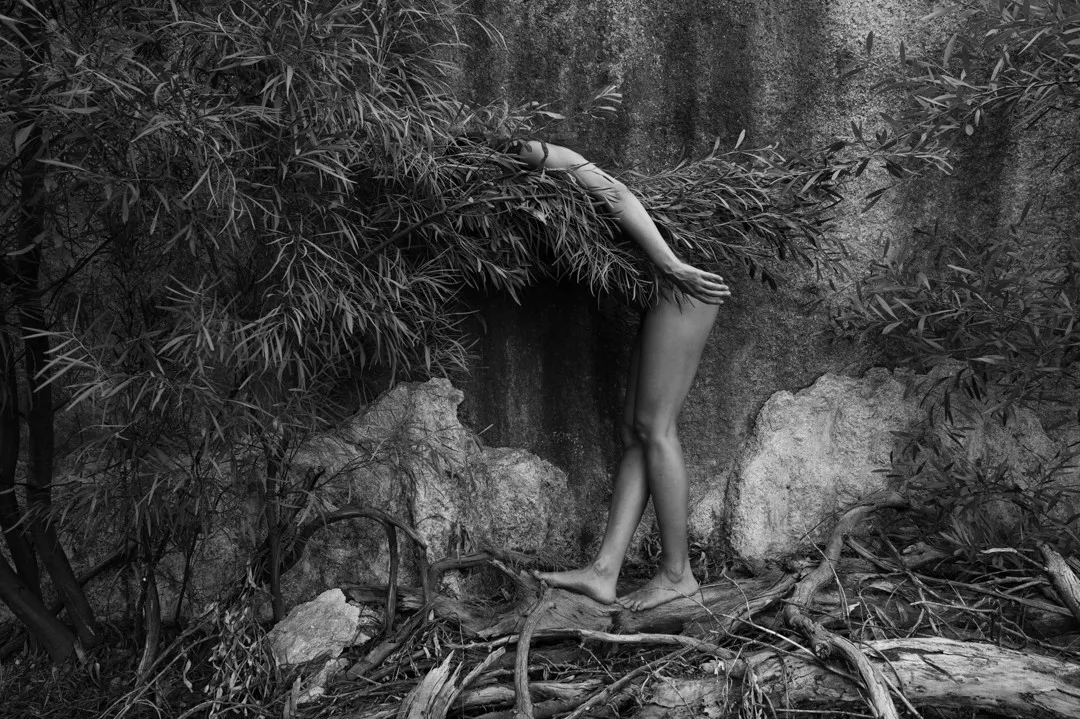 Viki Kollerová, Ostrich Days, 2023