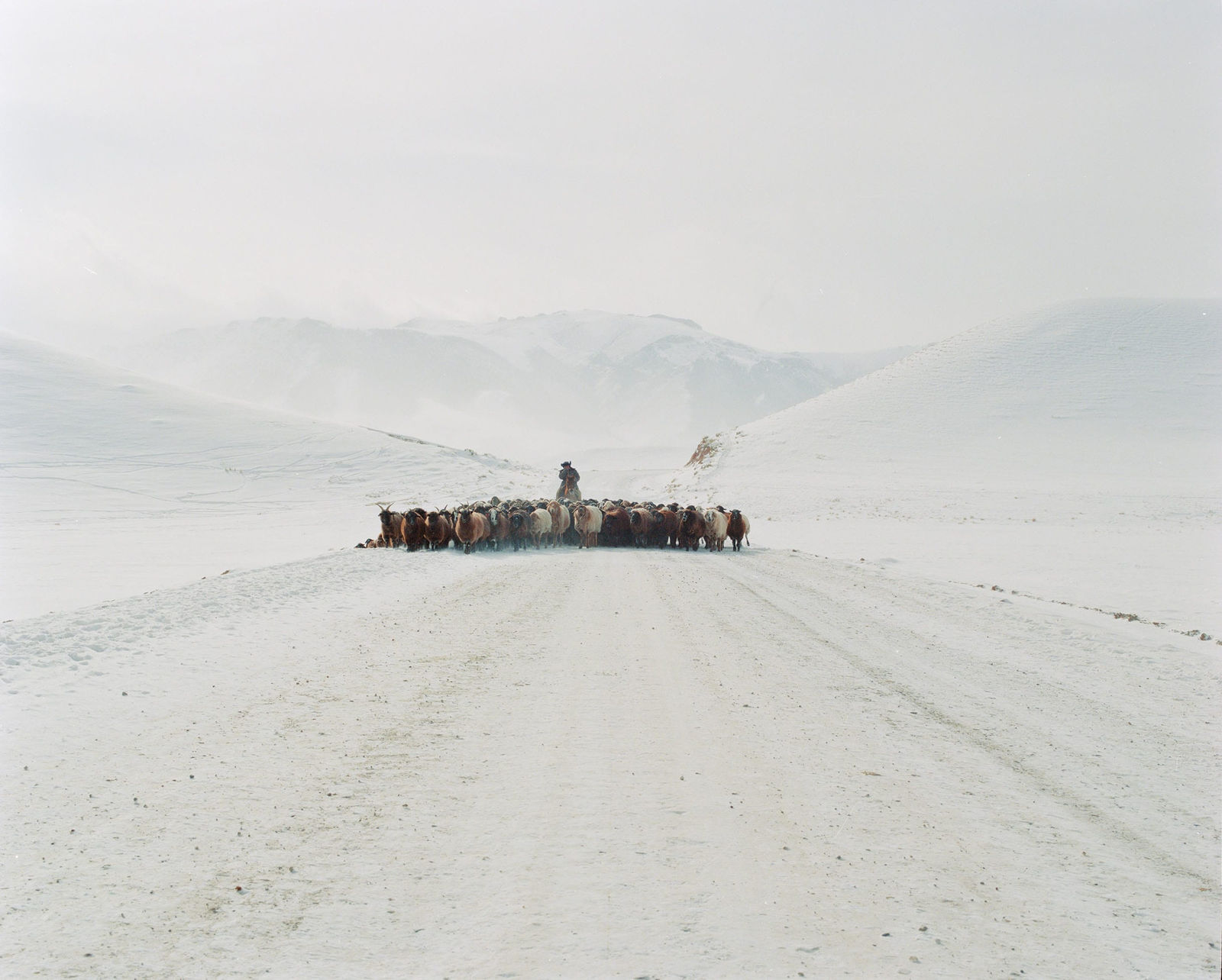 Luke Oppenheimer, Alpine Shepherd, Ottuk, Kyrgyzstan, 2020-24