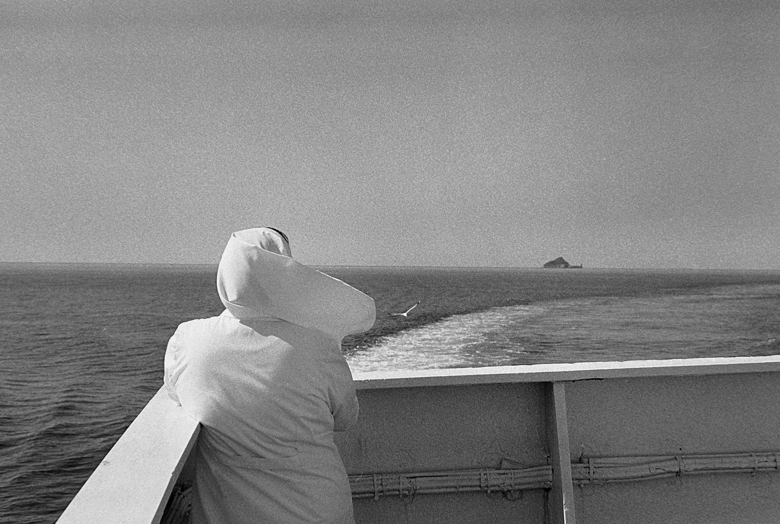 Luigi Vegini, Isola dʼElba, 2019