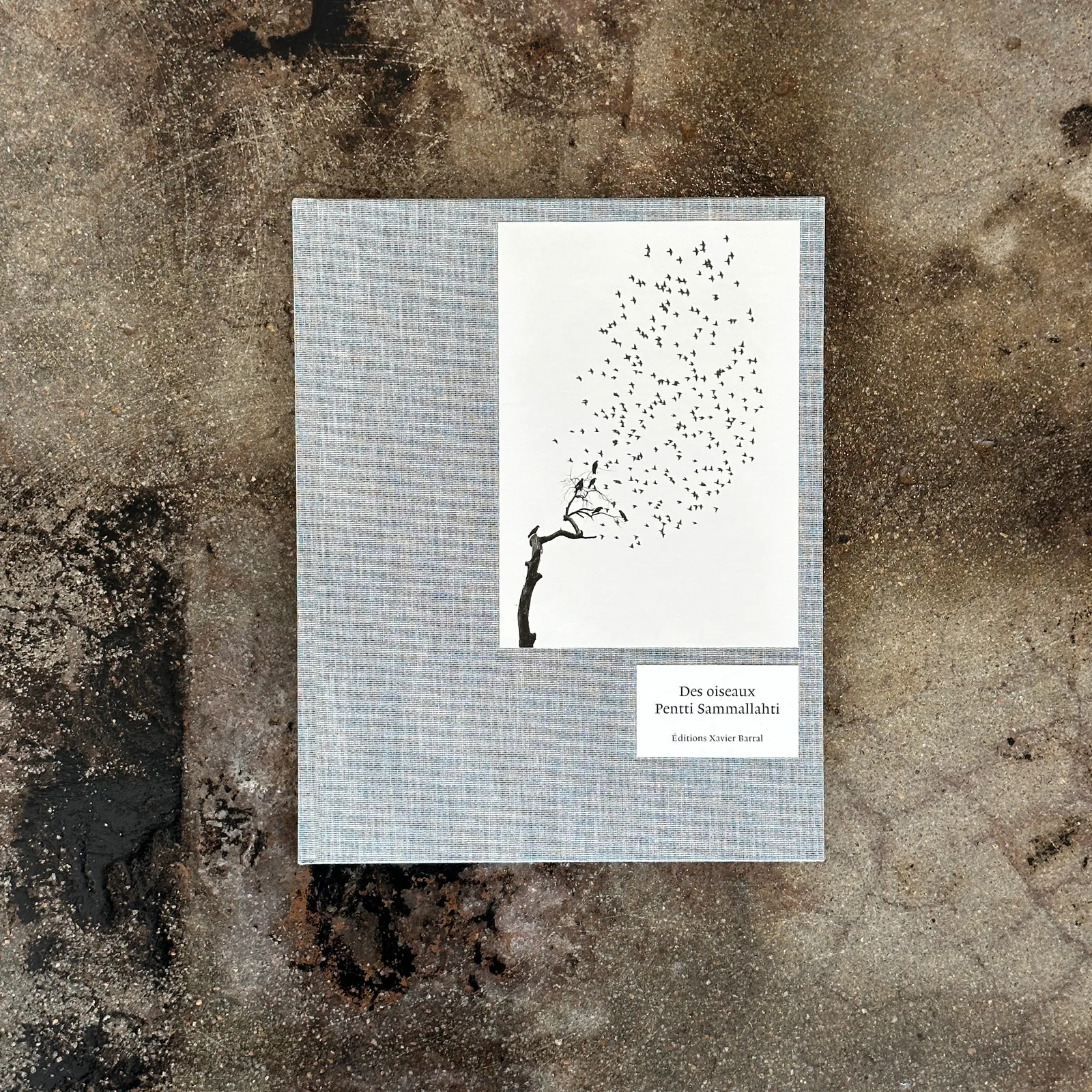 Pentti Sammallahti, Des Oiseaux, 2018
