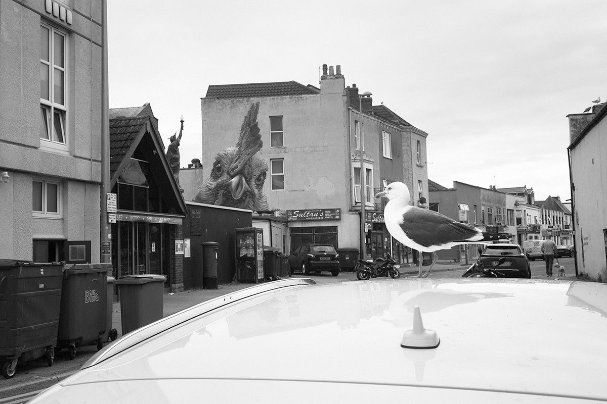 Roger A. Deakins, The Chicken and the Gull, Weston-super-Mare, 2024