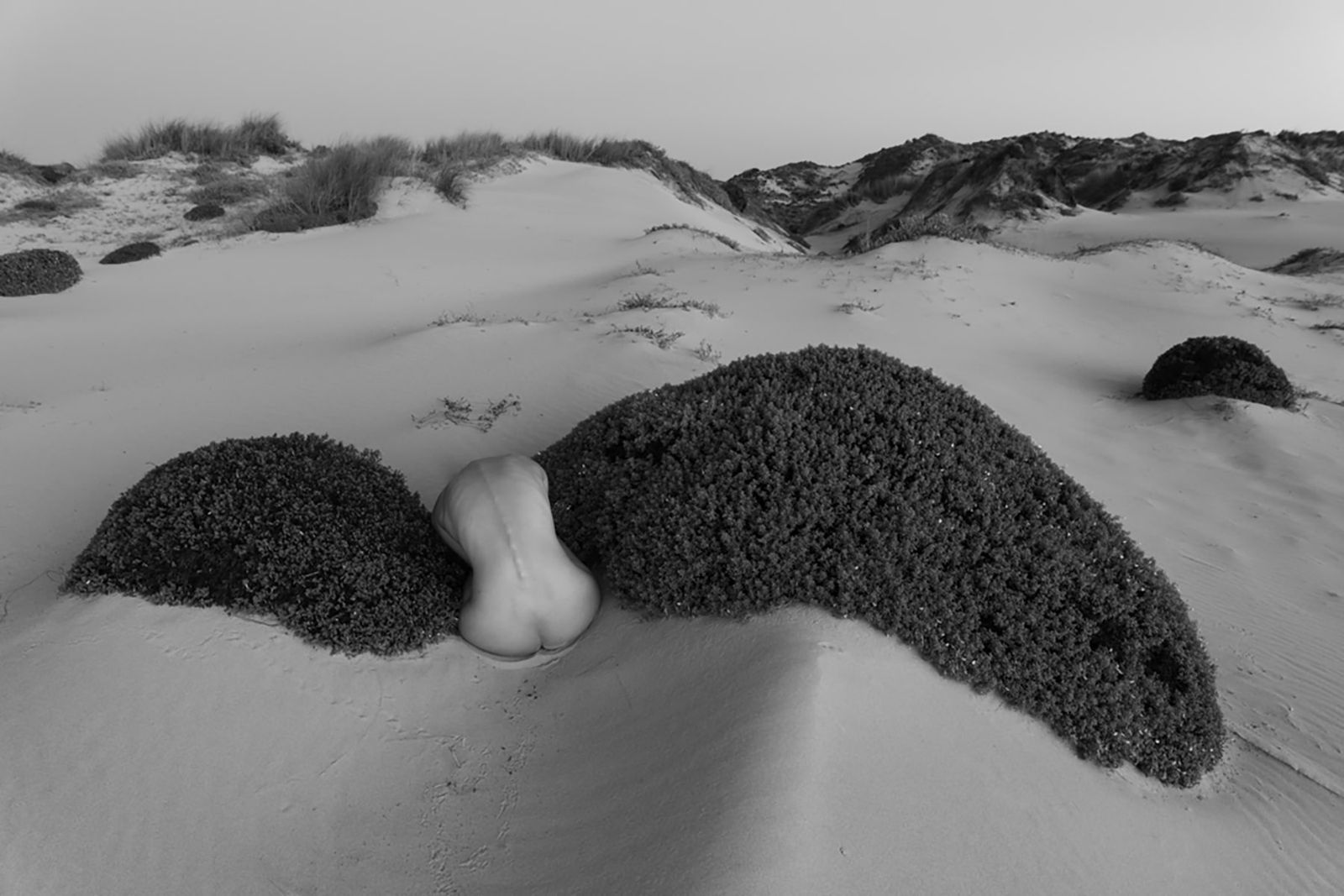 Viki Kollerová, Restharrow, 2022