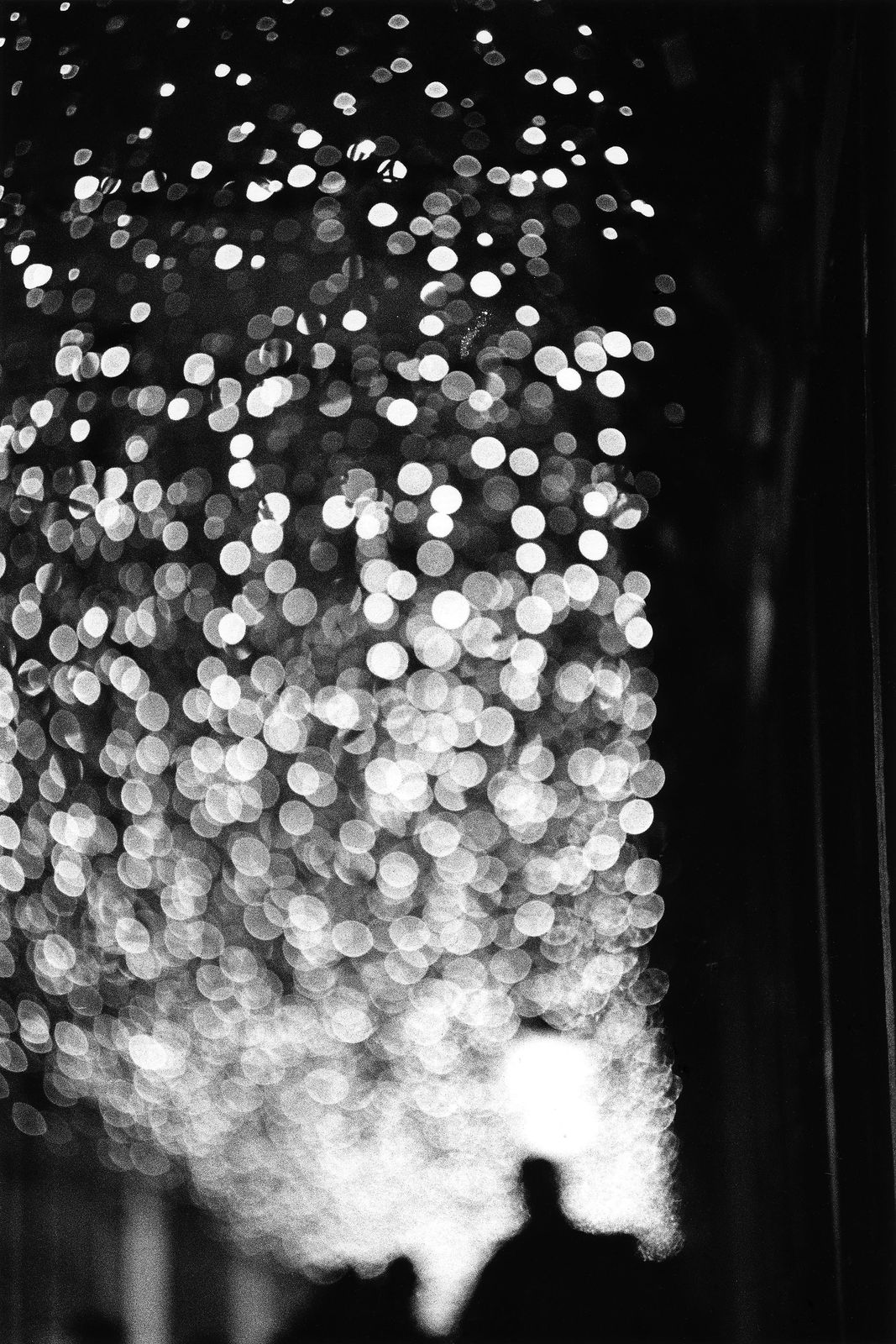 Kit Young, Venice, Italy , 2017