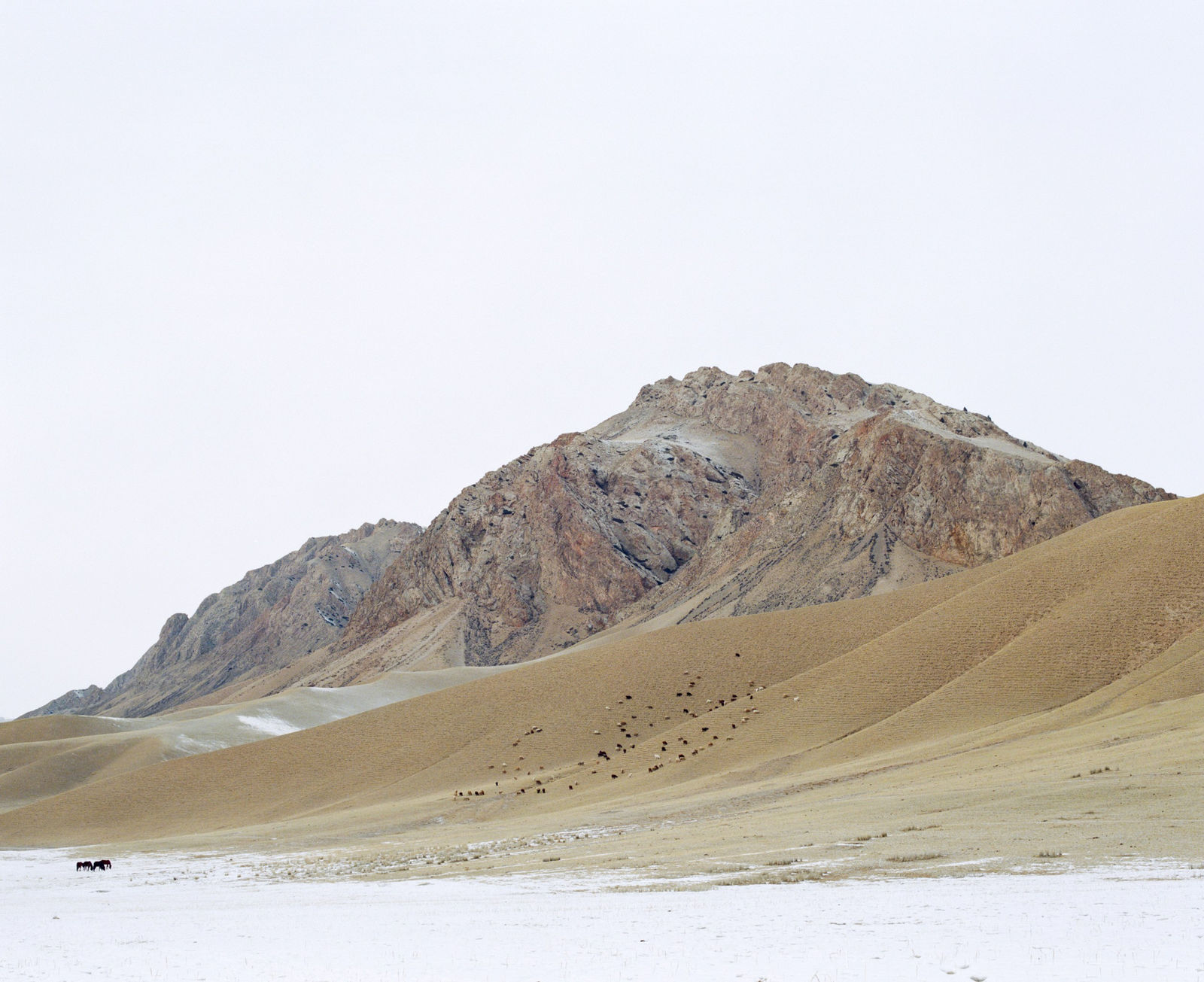 Luke Oppenheimer, Ishimbek's Mountain, Ottuk, Kyrgyzstan, 2020-24
