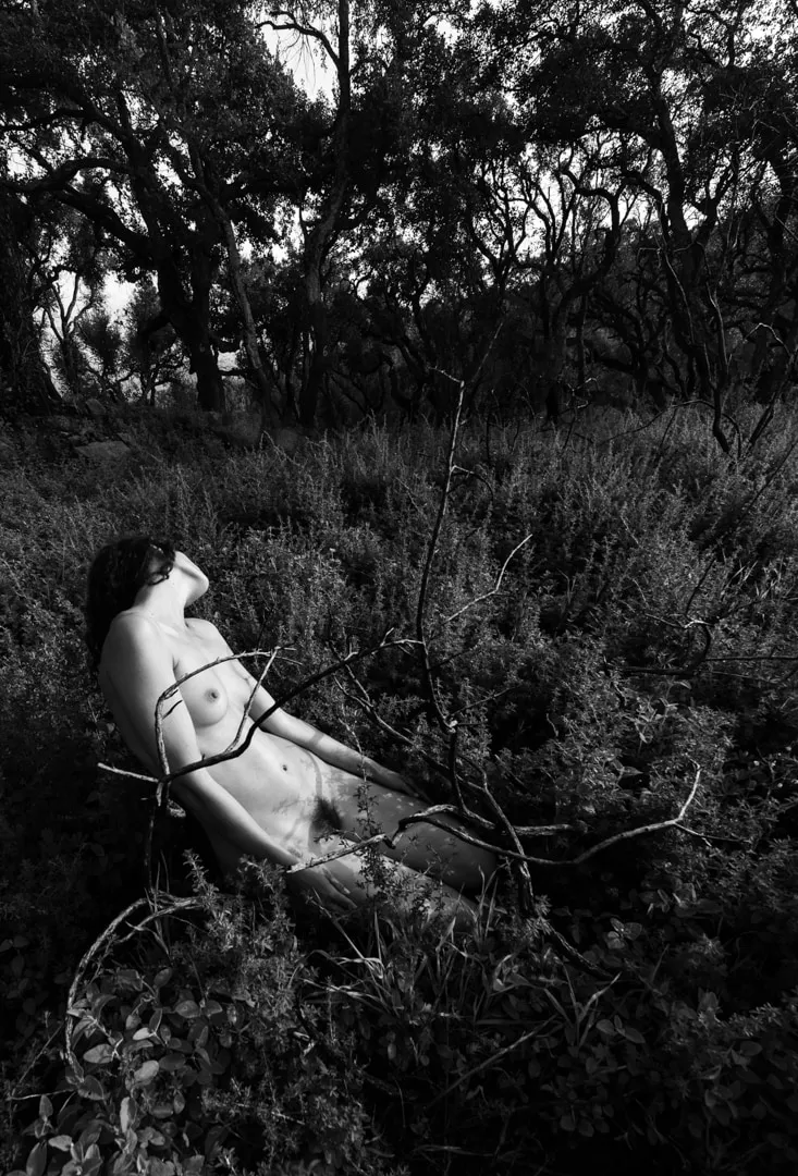 Viki Kollerová, Let Me Be the Lightest Color, 2018