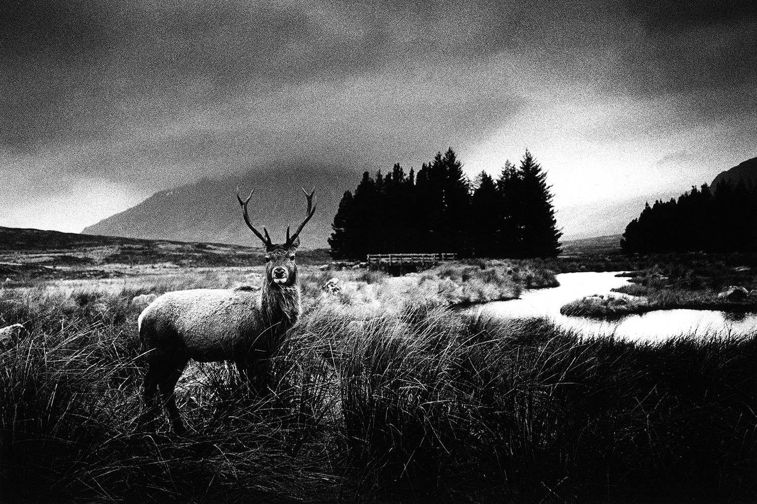 Kit Young, Glen Coe, Scotland, 2024