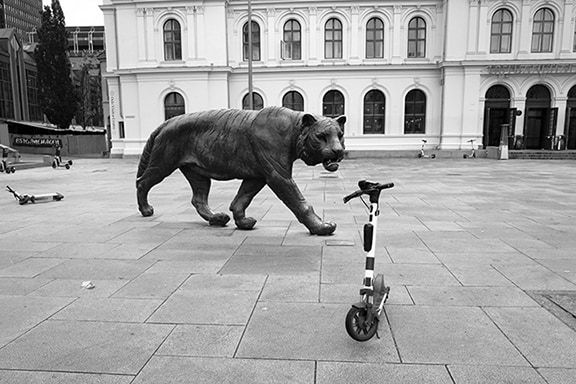 Roger A. Deakins, The Angry Lion, Oslo, 2022