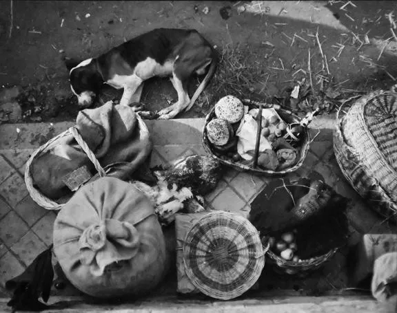 André Kertész, Saint-Jean-de-Luz, France (market still life with dog), 1931, printed c. 1970
