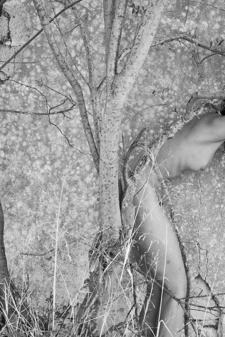 Viki Kollerová, Fawn Wall, 2025