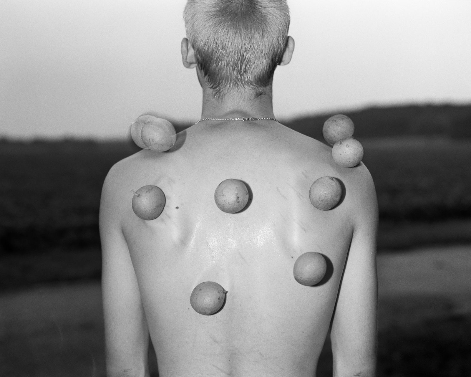 Henry O. Head, Walnuts, from the series Twelves Acres, 2023