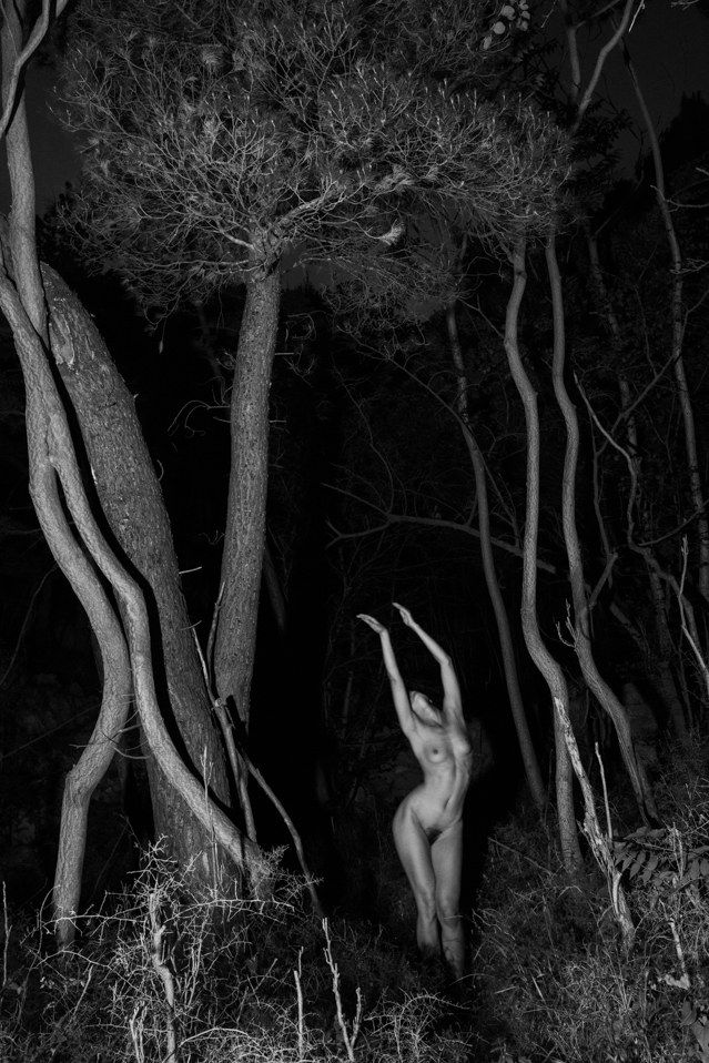 Viki Kollerová, Trees of Heaven, 2024